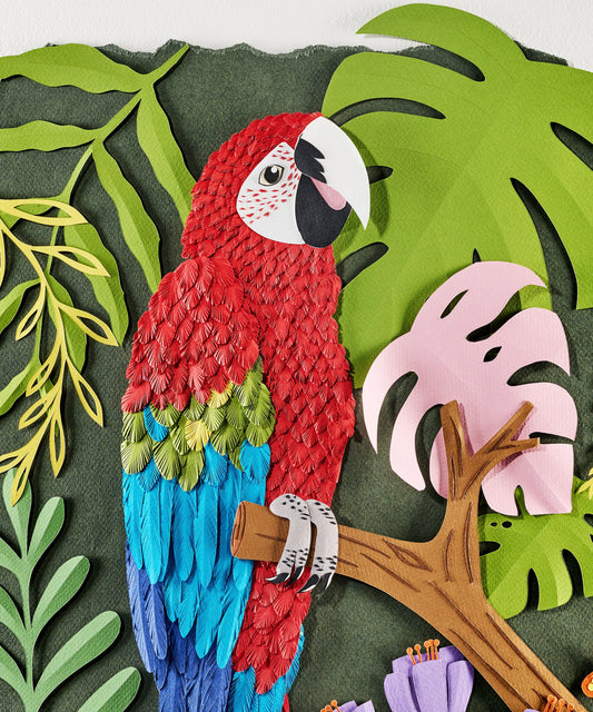 Red Macaw by Andrea Cira