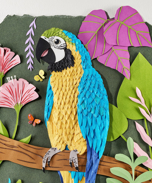 Blue Macaw by Andrea Cira