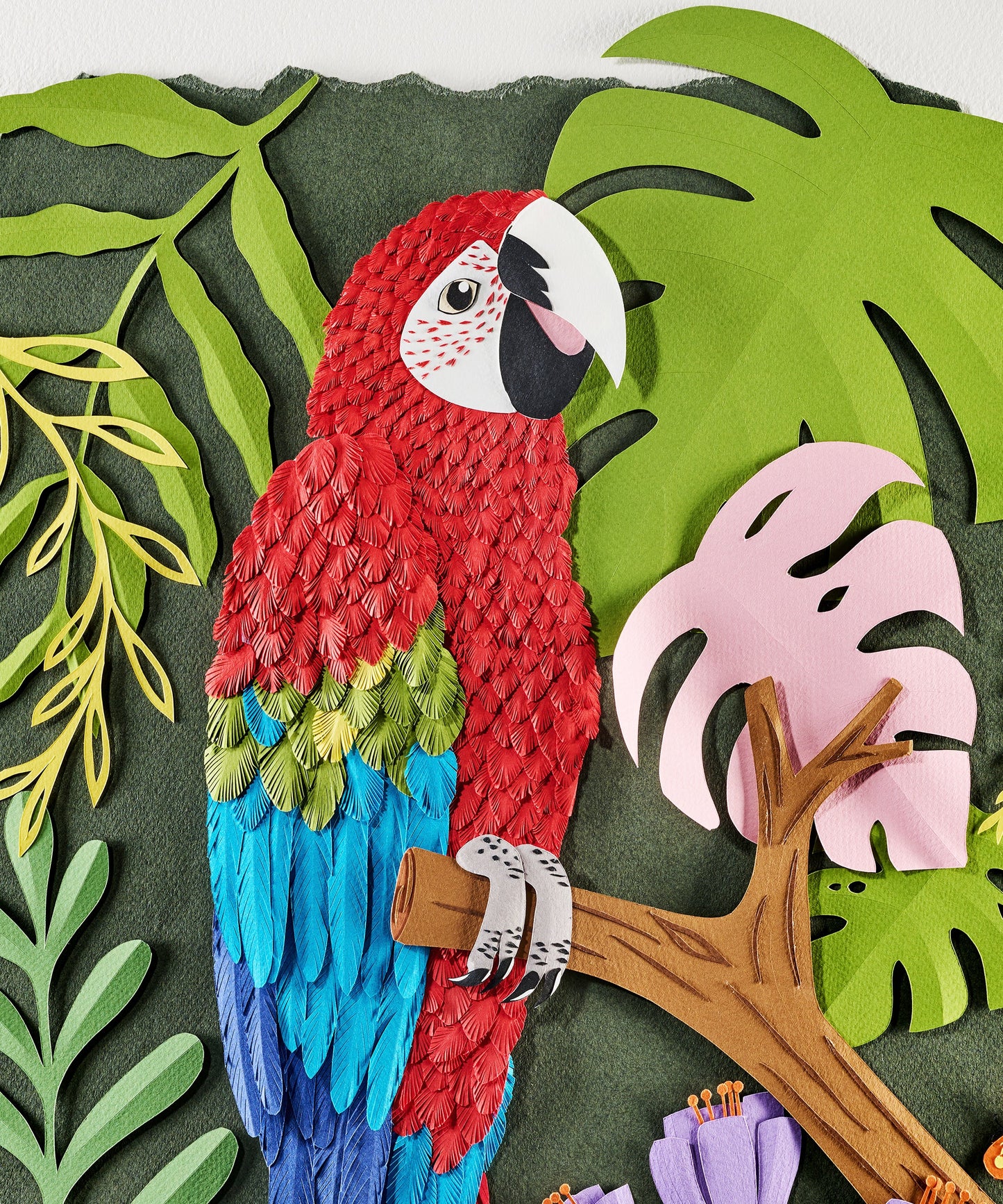 Red Macaw by Andrea Cira