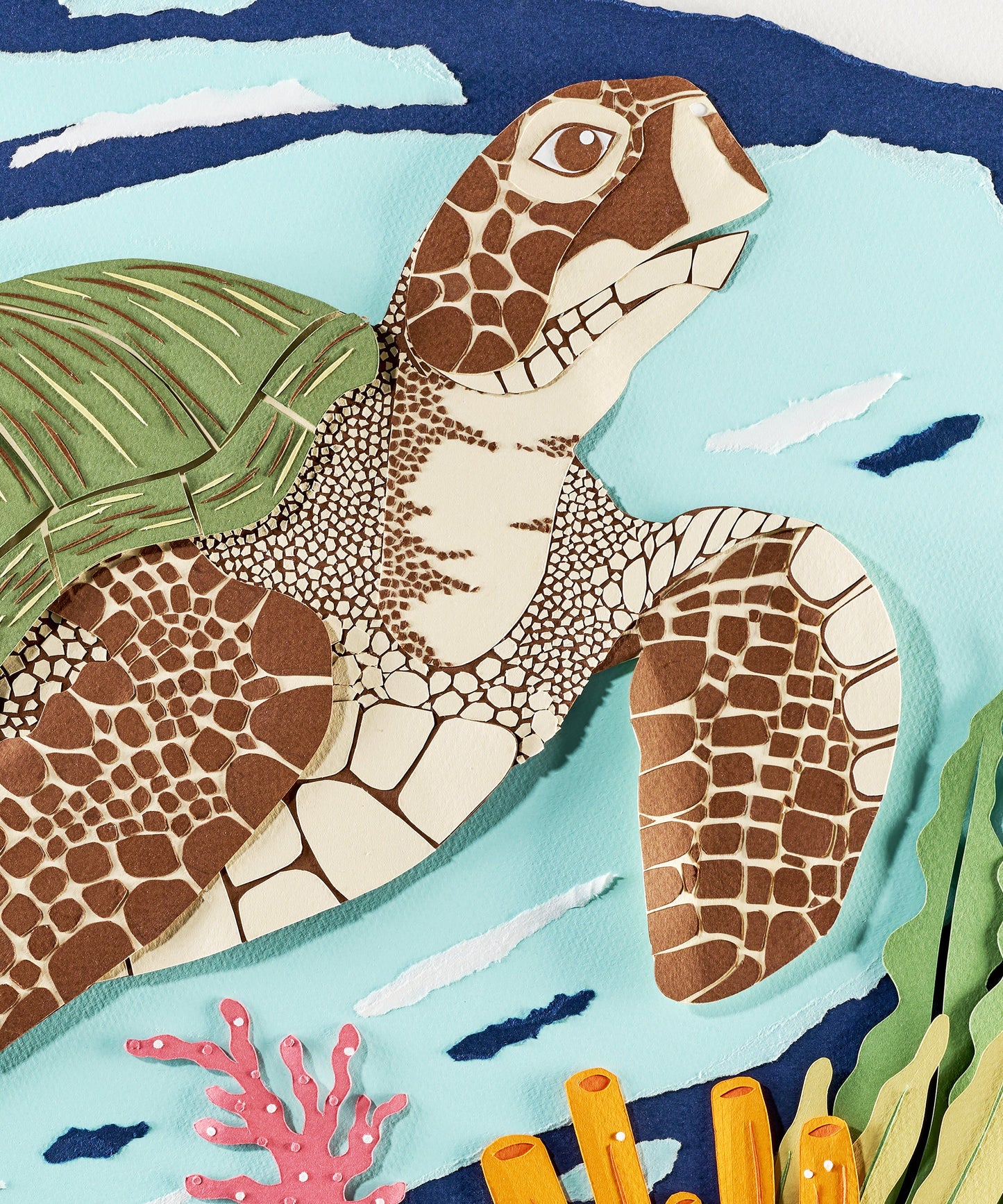 Sea Turtle by Andrea Cira