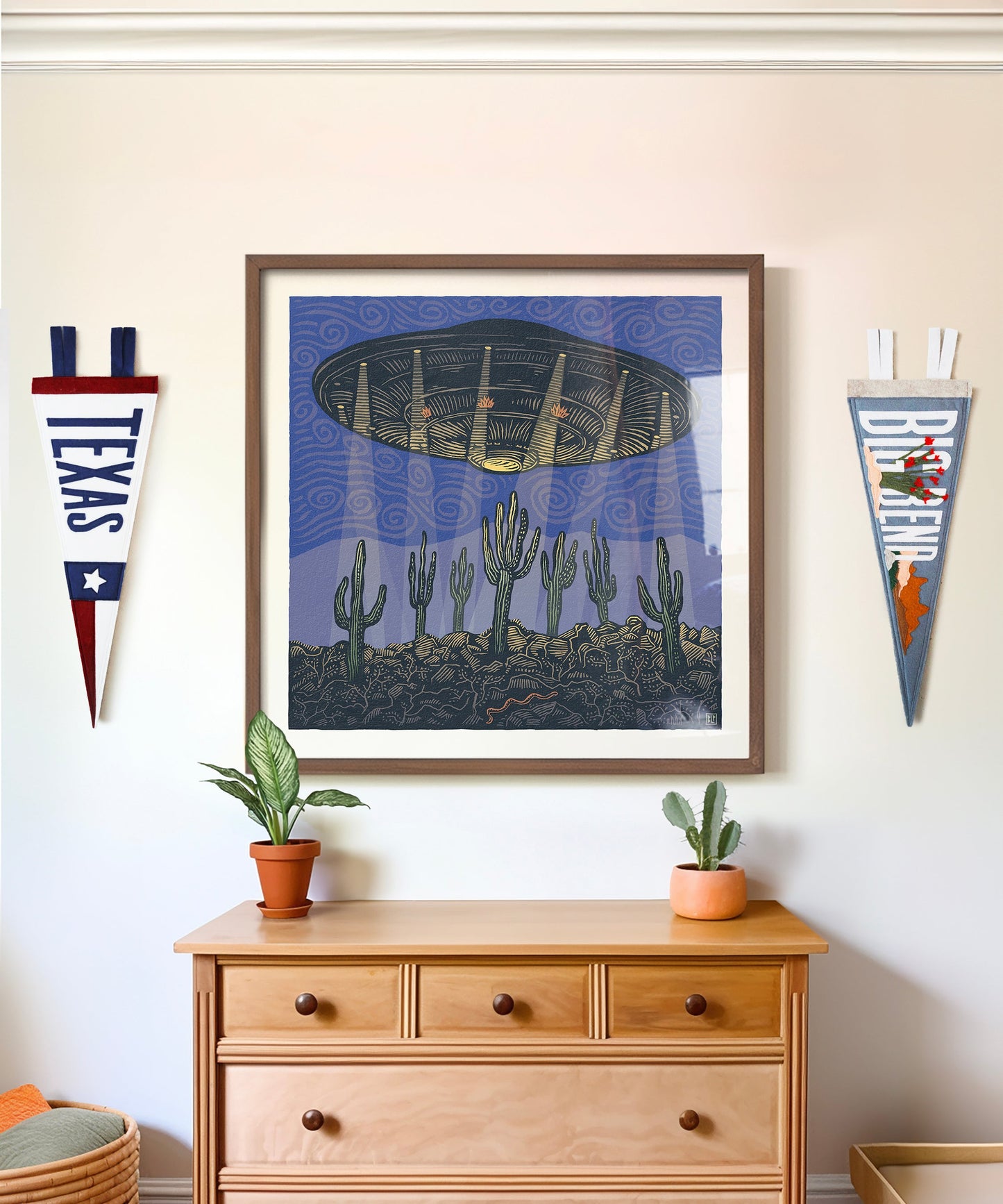 Cacti and Aliens by Bryan Peterson