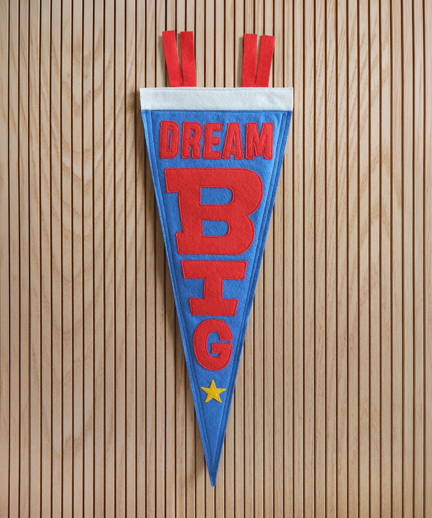 Dream Big Felt Pennant