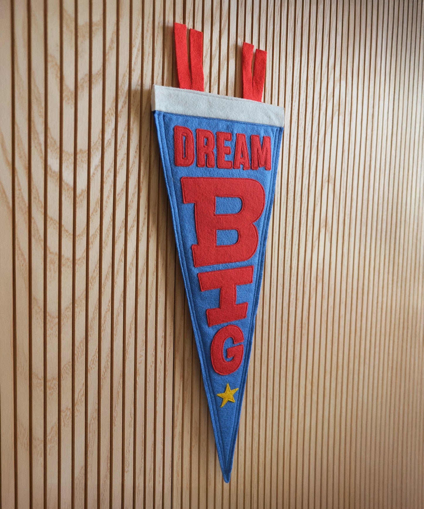 Dream Big Felt Pennant