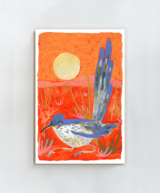 Resting Roadrunner by Melissa Lakey